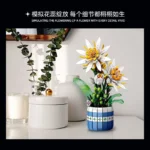 JieStar JJ9033 Epiphyllum Bonsai - Image 2