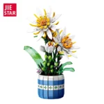 JieStar JJ9033 Epiphyllum Bonsai - Image 4
